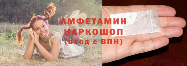 спиды Бородино