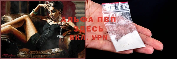 гашик Верея