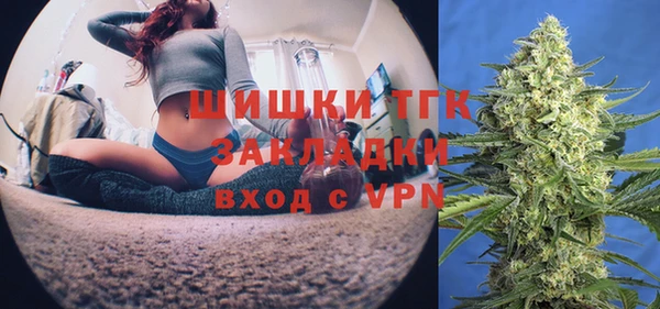спиды Бородино