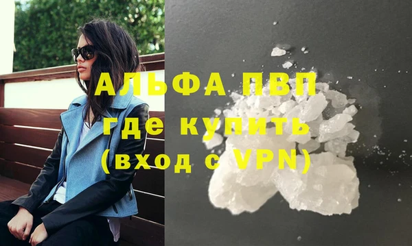 спиды Бородино