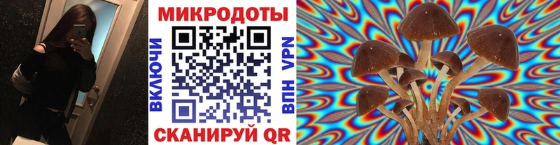 omg зеркало  где купить   Междуреченск  Галлюциногенные грибы мицелий 